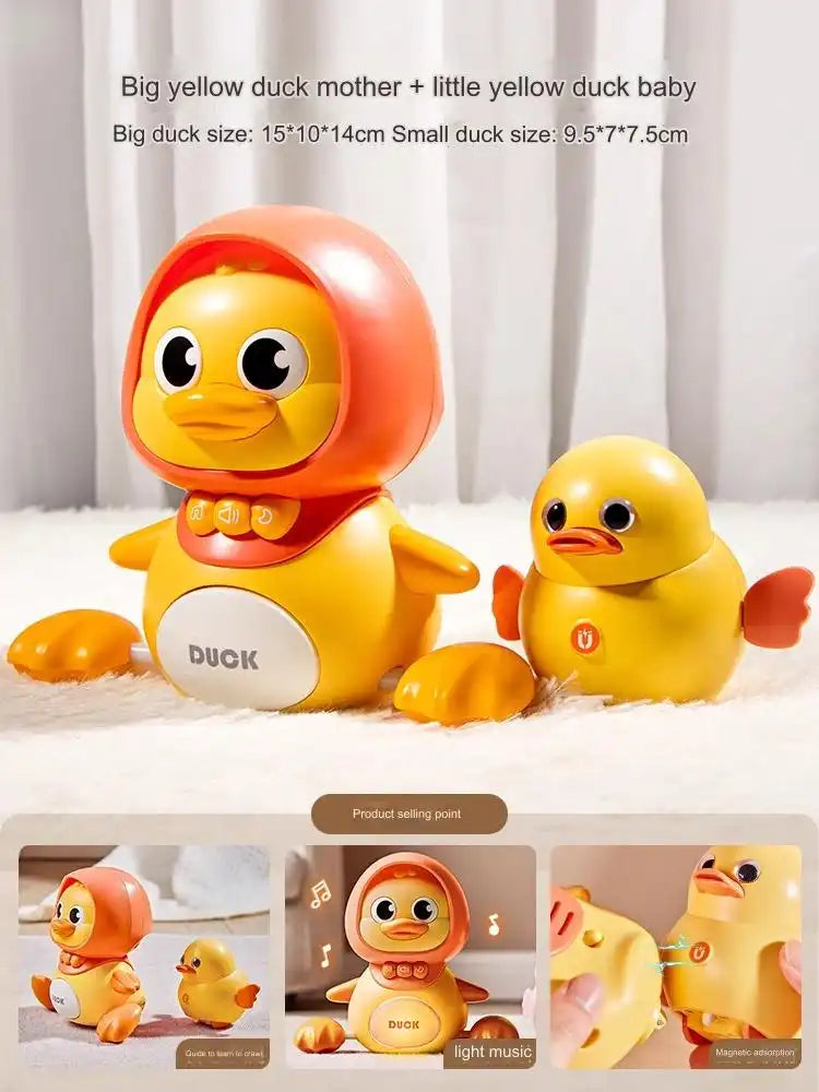 Sleeping Duck