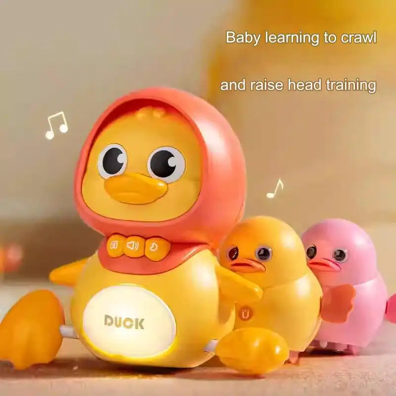 Sleeping Duck