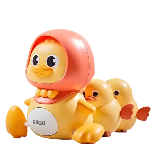 Sleeping Duck