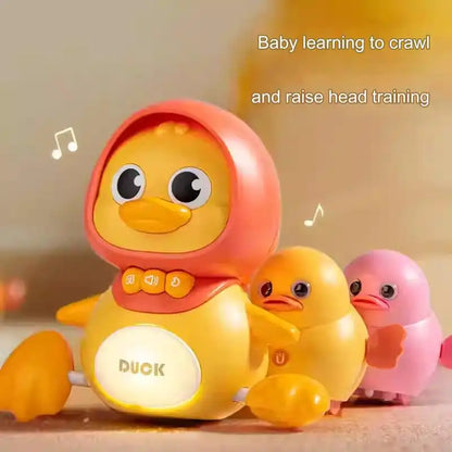 Sleeping Duck